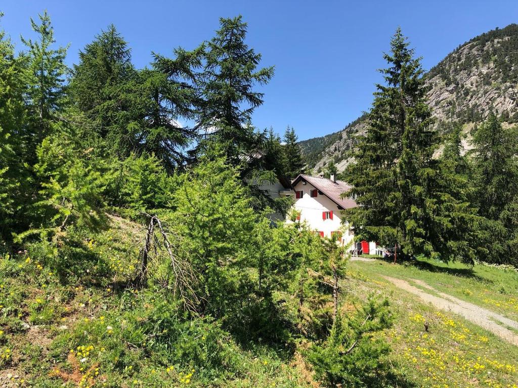 Príroda v okolí hostela