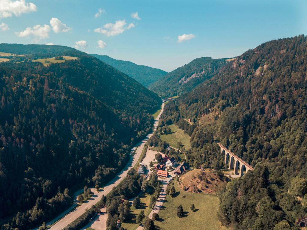 an aerial view of a river in the mountains at Hotel Hofgut Sternen in Breitnau