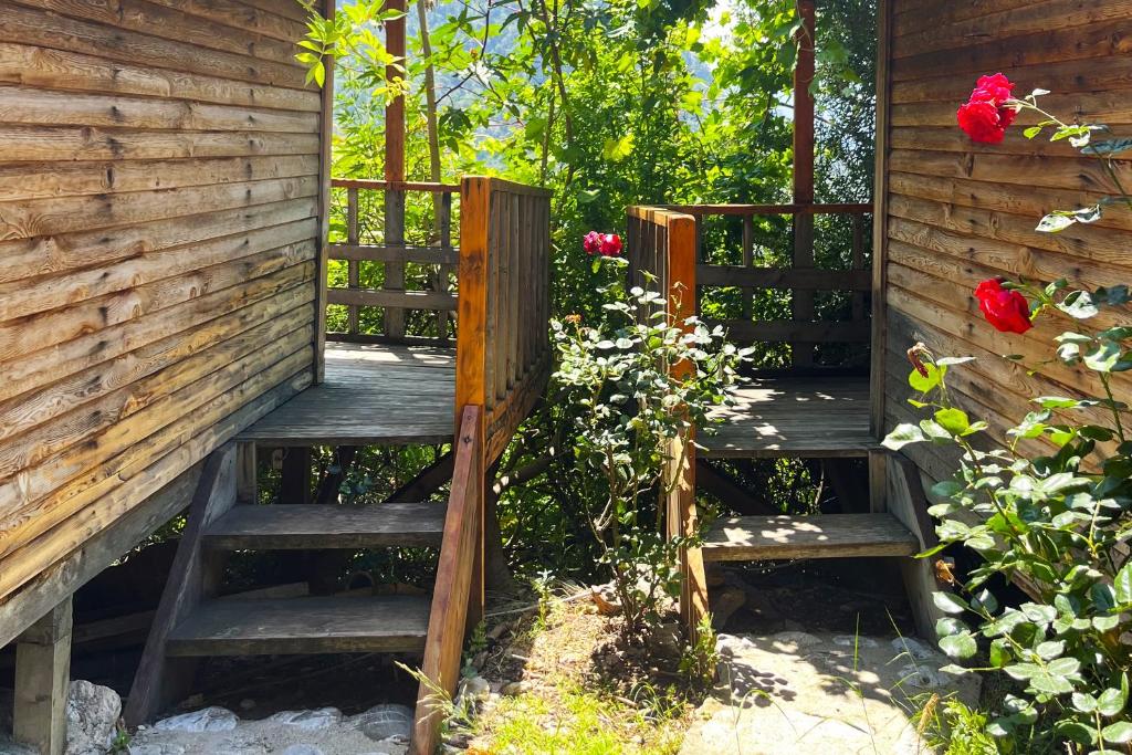 Zahrada ubytování Fullmoon Camp