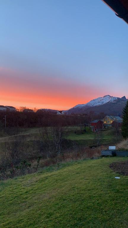 a sunset over a field with a bench in a field at Myklebostad in Steigen