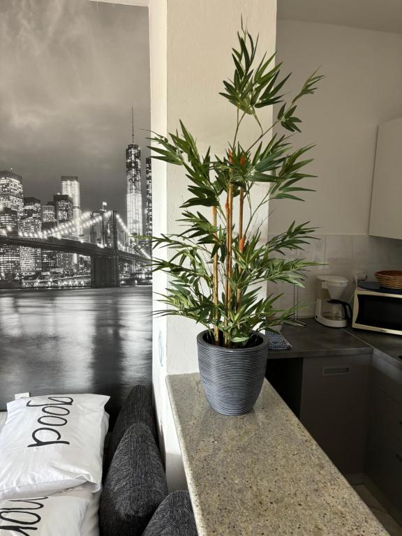 Część wypoczynkowa w obiekcie Apartment Jasna B