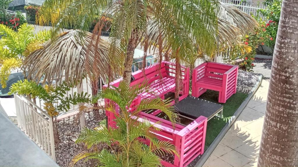 un grupo de bancos rosas sentados bajo una palmera en Appartement d'une chambre avec piscine partagee et wifi a Sainte Anne a 1 km de la plage, en Sainte-Anne