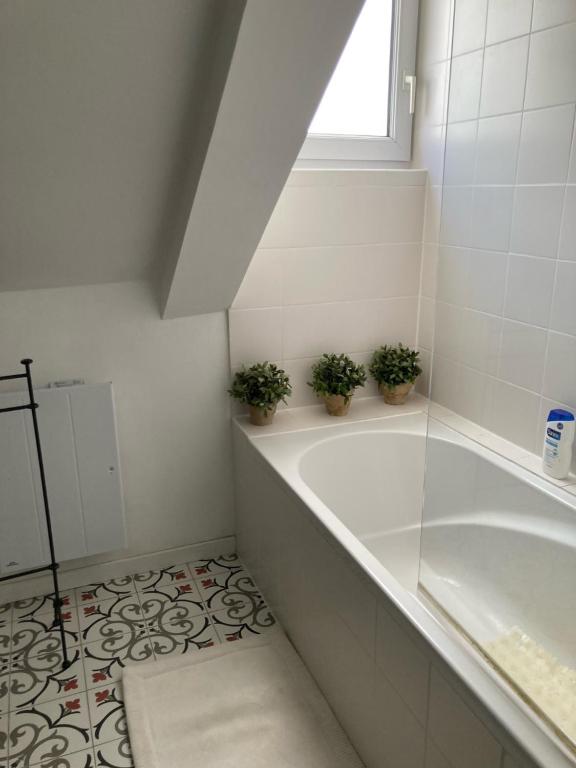 Kúpeľňa v ubytovaní Duplex Vannes centre
