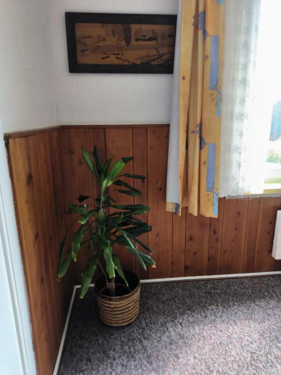 Fotografie z fotogalerie ubytování Chata Rybná 18 v destinaci Pernink