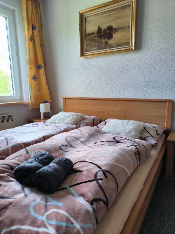 Postel nebo postele na pokoji v ubytování Chata Rybná 18