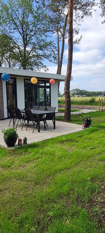 a house with a picnic table in the grass at Hellendoornse boshuisje Tranquilo in Haarle