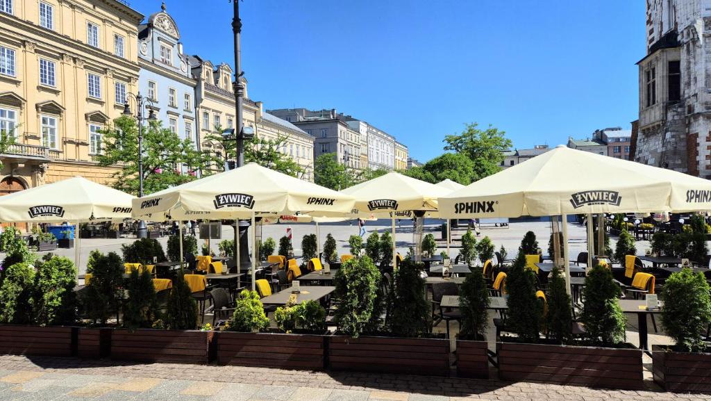 Main Square Apartments - 18