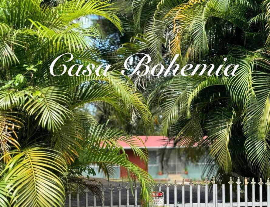 Zahrada ubytování Casa Bohemia