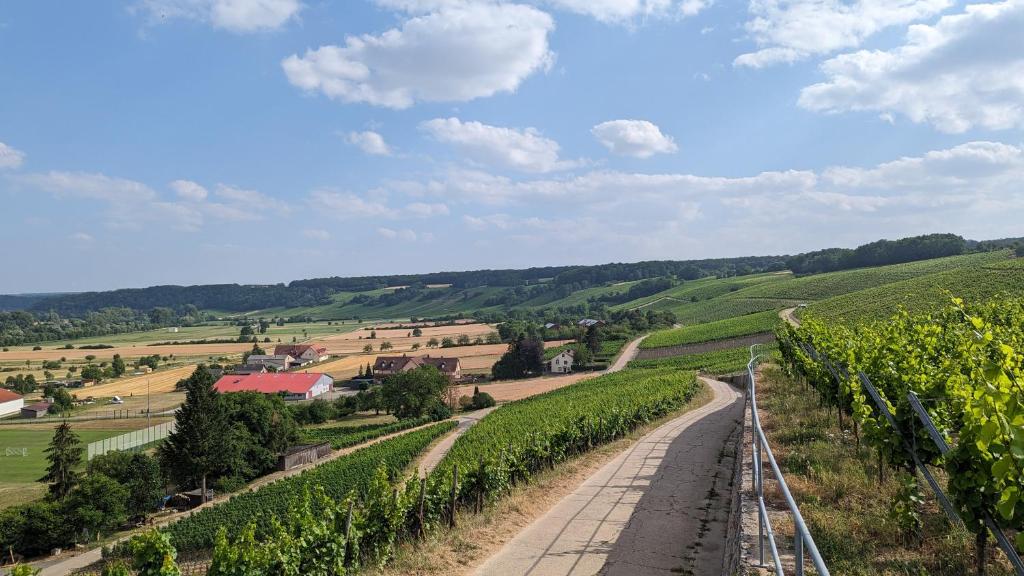 Příroda nedaleko apartmánu