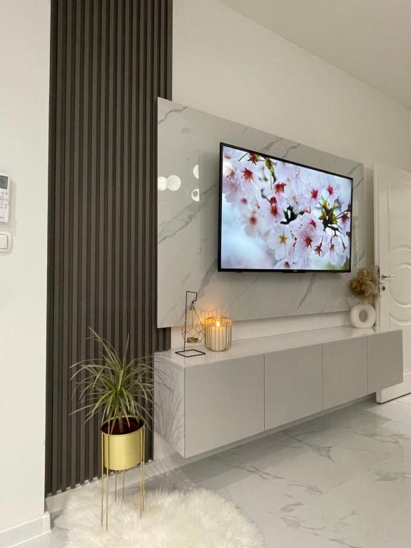 TV a/nebo společenská místnost v ubytování Apartman Tara Bar