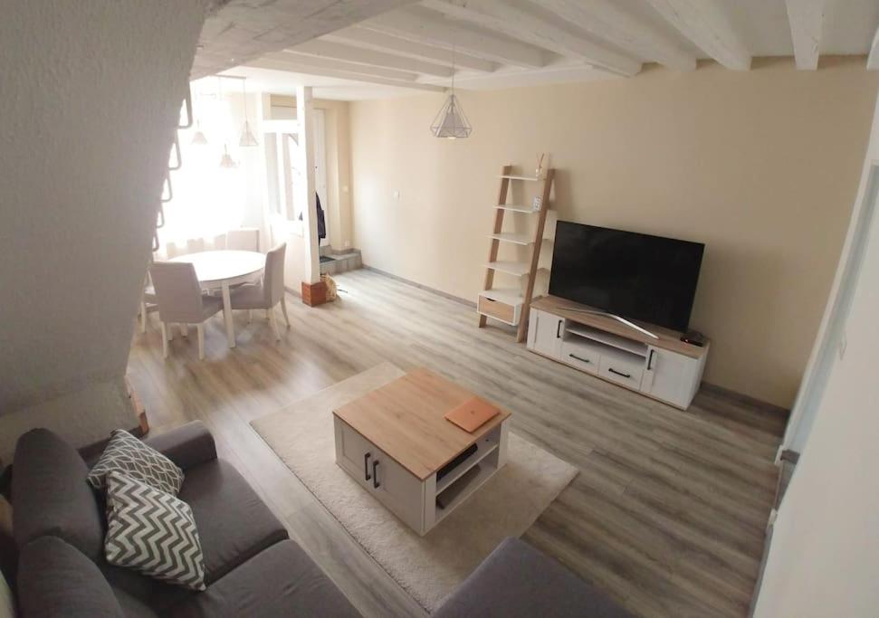 un salon avec un canapé et une télévision à écran plat dans l'établissement Grande maison de ville, 2 chambres, à Orléans