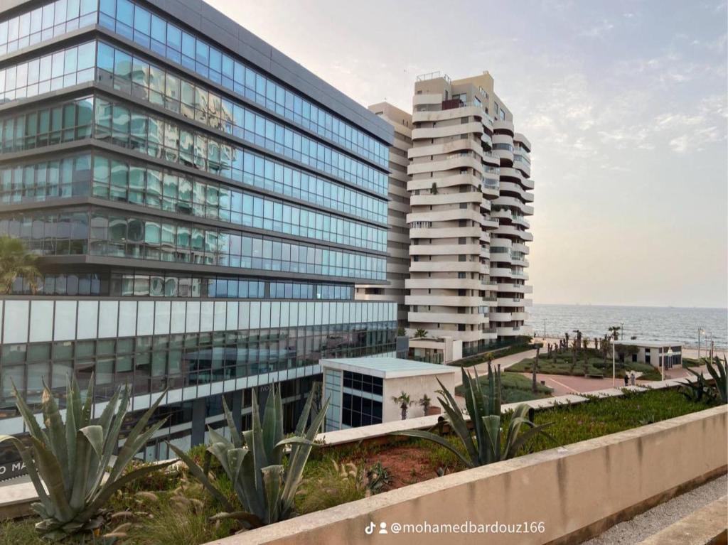 Casa Marina - Image 4