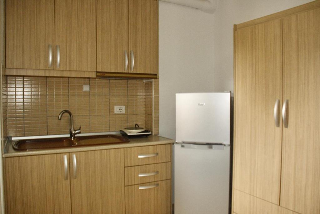 Kuchyň nebo kuchyňský kout v ubytování Villa Kreshta