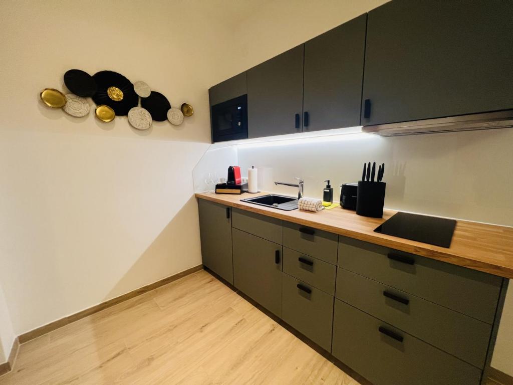 Kuchyň nebo kuchyňský kout v ubytování WF-Apartment Westbahnhof