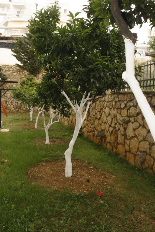 Zahrada ubytování Villa Kreshta