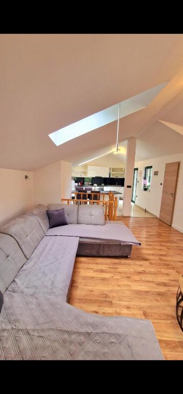 Apartments Ante - 19