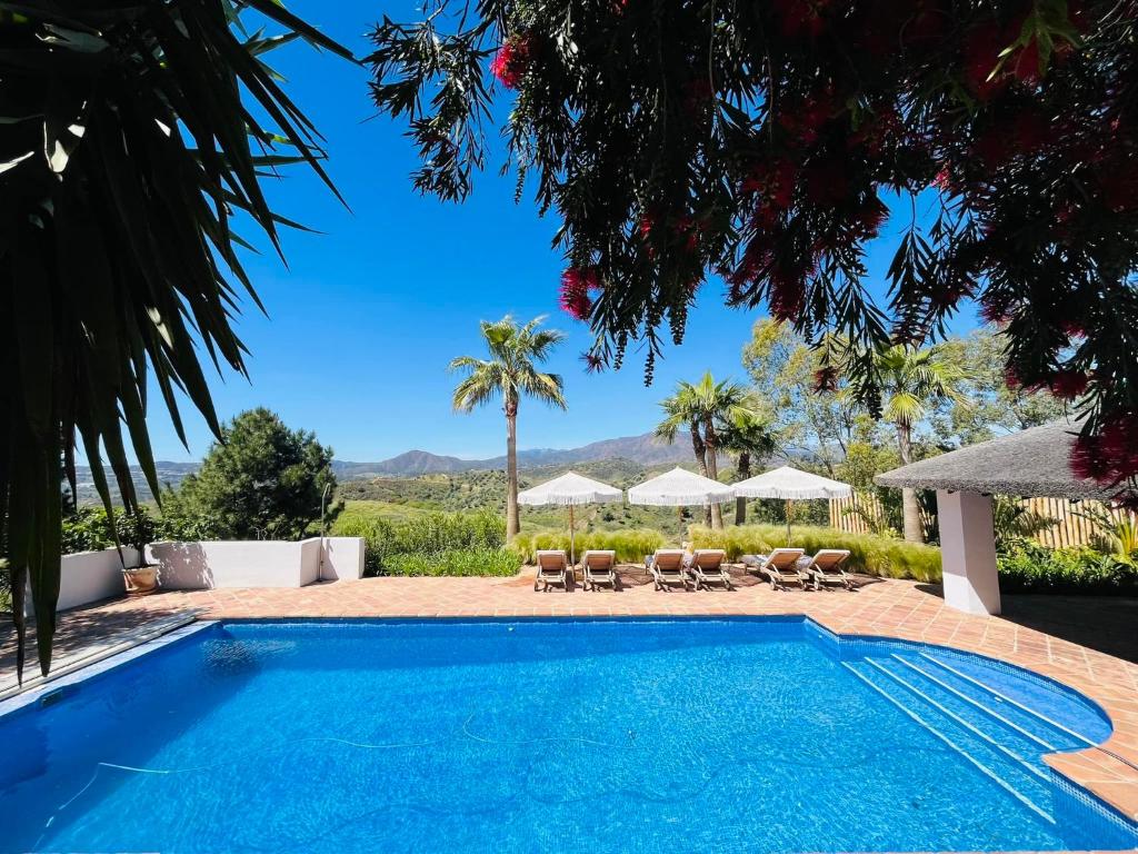 una piscina con sedie, ombrelloni e palme di Finca Mis Alas a Mijas