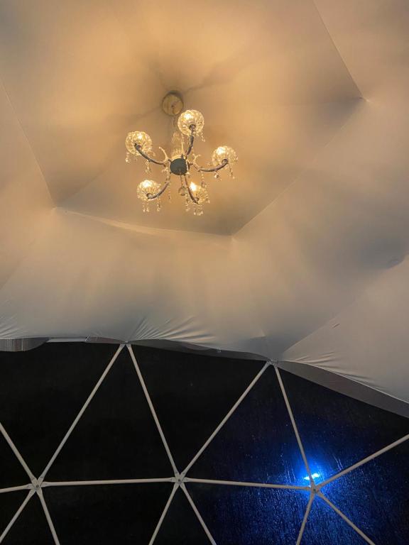 Foto dalla galleria di Glamping Vintage Anapoima ad Anapoima