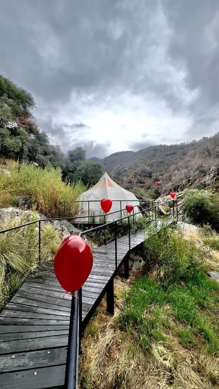 Příroda nedaleko luxury tent