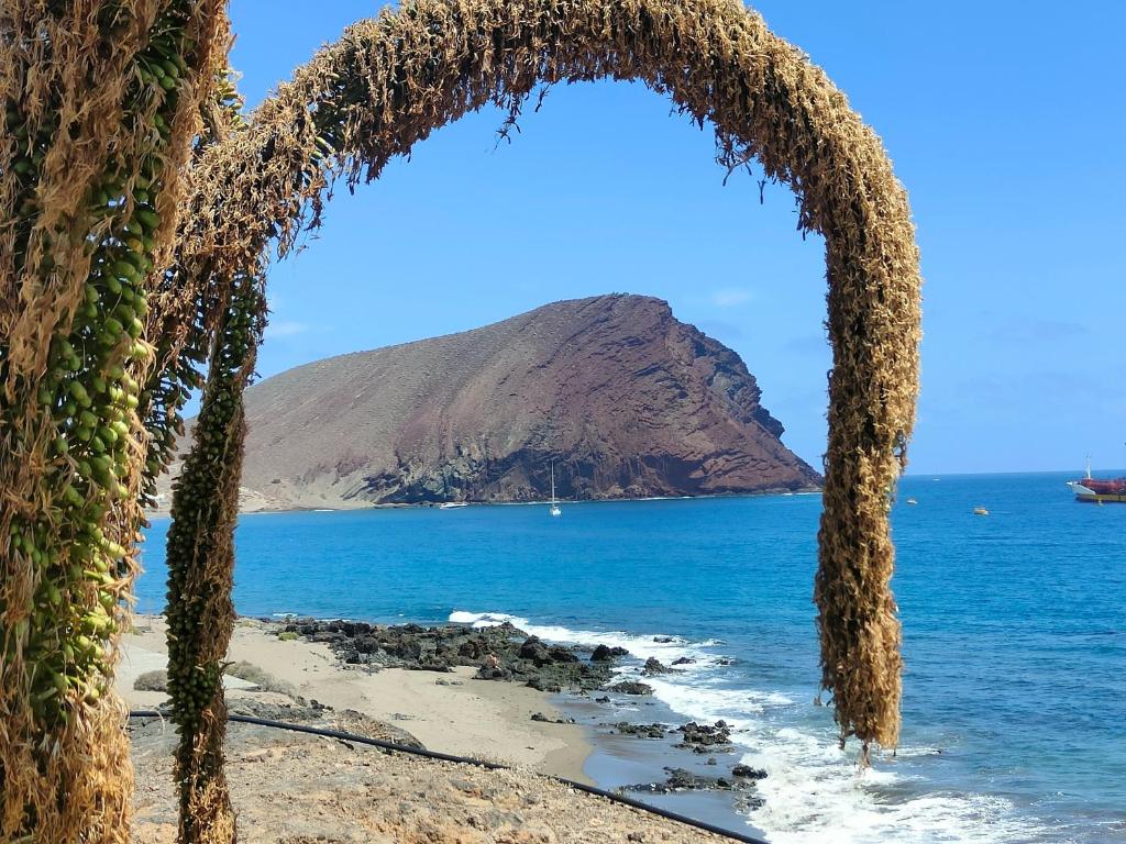 a view of a beach with a mountain in the background at La Tejita Ocean Villa in Granadilla de Abona
