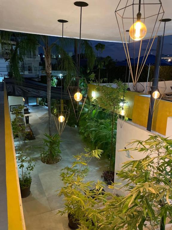 Zahrada ubytování Hotel Boutique Ixaya