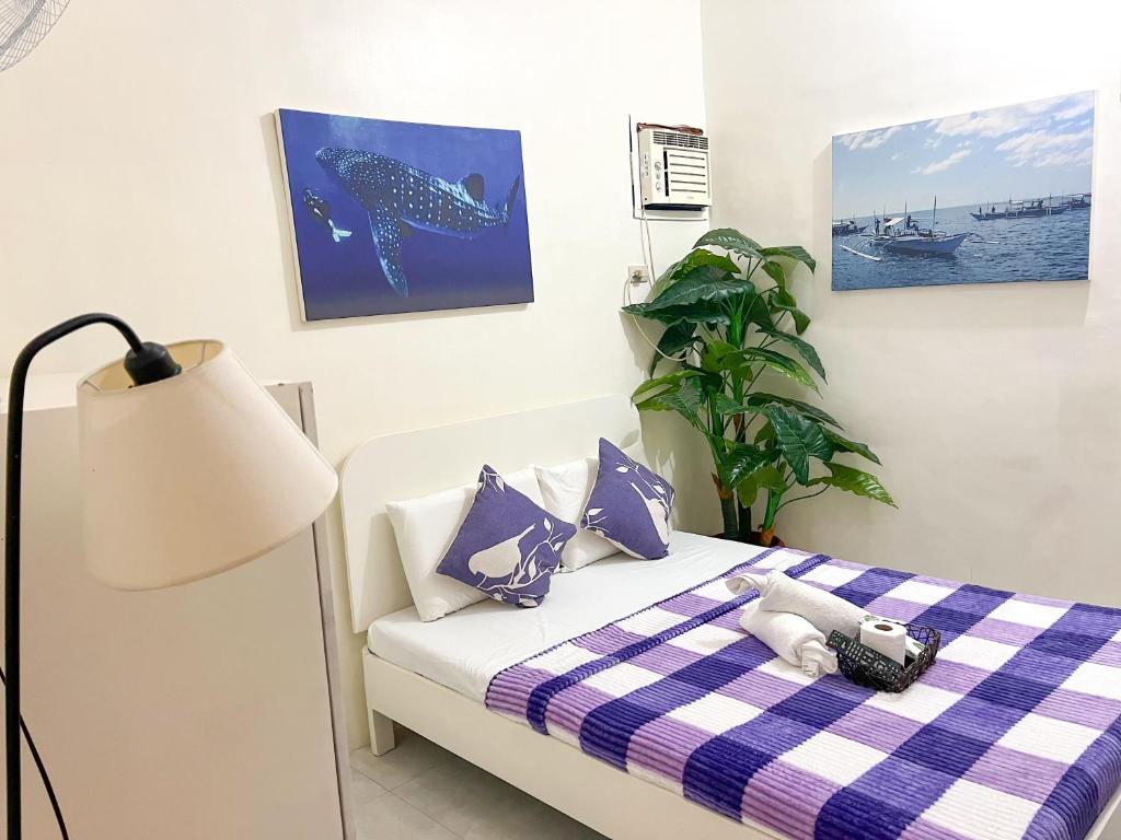 Casa Bicolandia Suites - Chambre Double