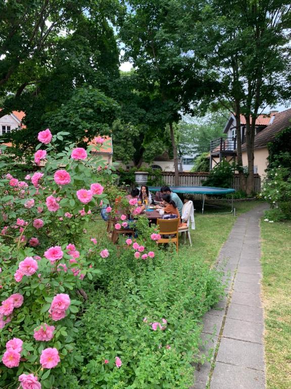 Zahrada ubytování Suviste Guesthouse