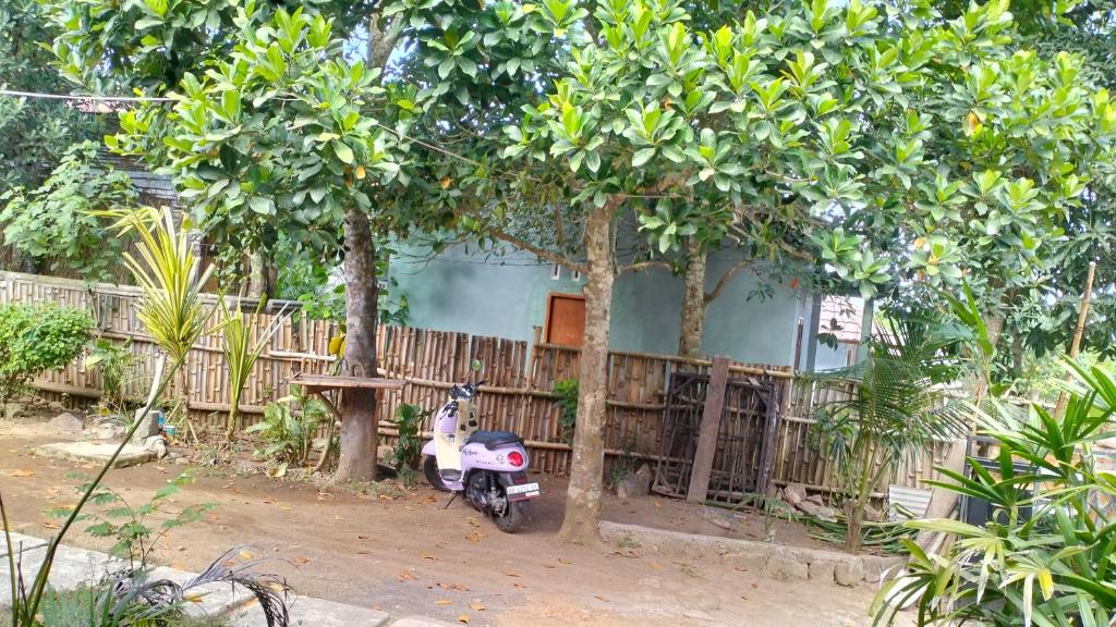 Zahrada ubytování Palm Homestay Kuta