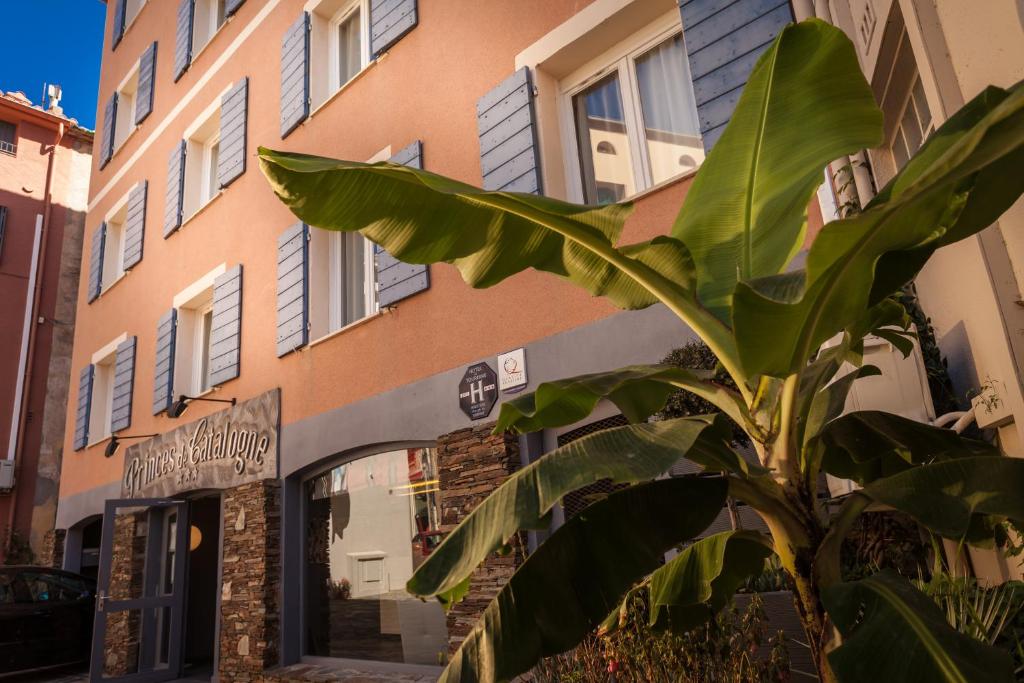 a banana tree in front of a building at Hôtel Princes de Catalogne in Collioure