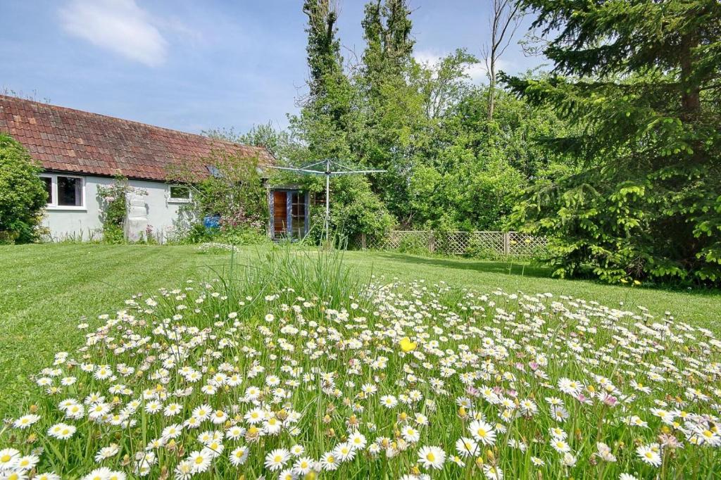a field of flowers in front of a house at Hilltop Farm in Sturminster Newton