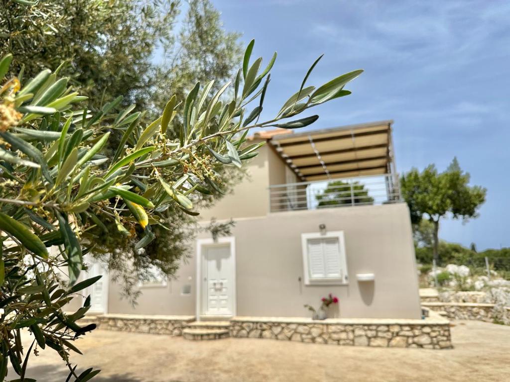 Zahrada ubytování Trikoupis Villa