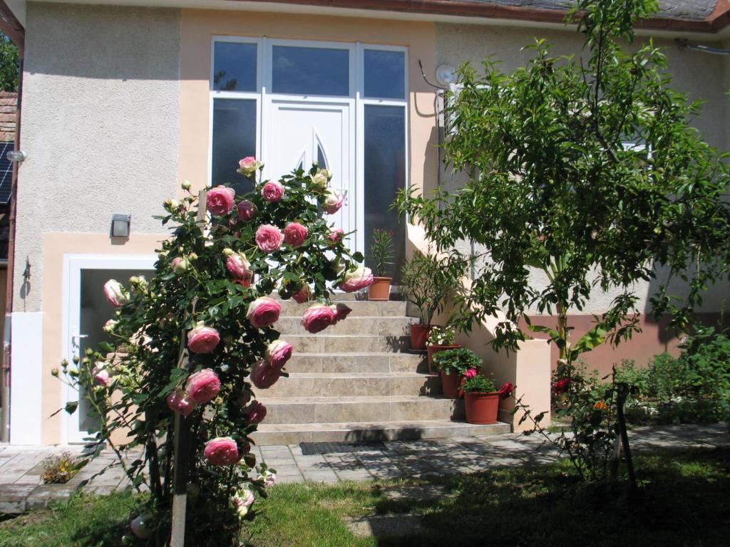 een trap met roze rozen voor een deur bij Réti Tanya Vendégház in Kerecseny
