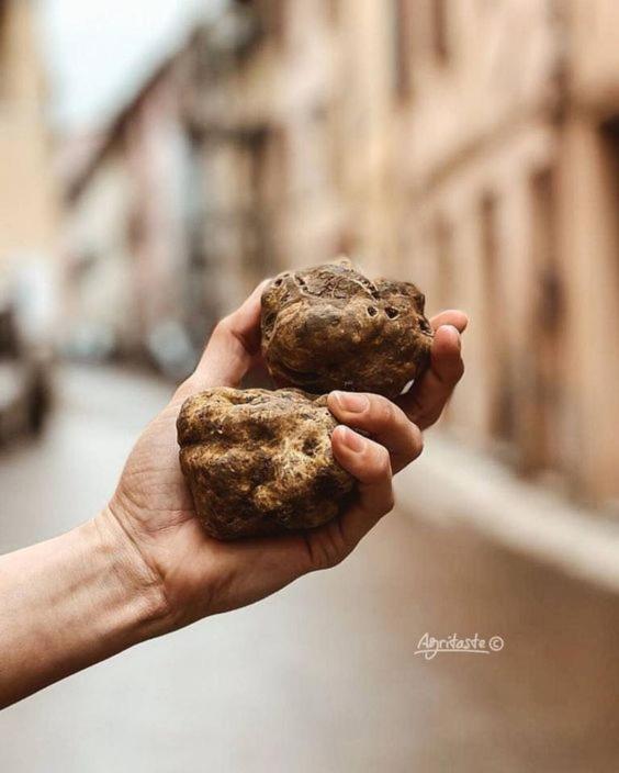 Fotografie z fotogalerie ubytování Inn Alba v Albě