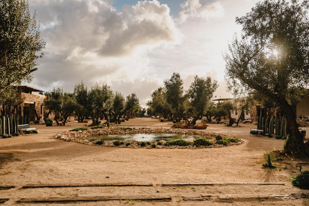 Hábimo - Valle de Guadalupe