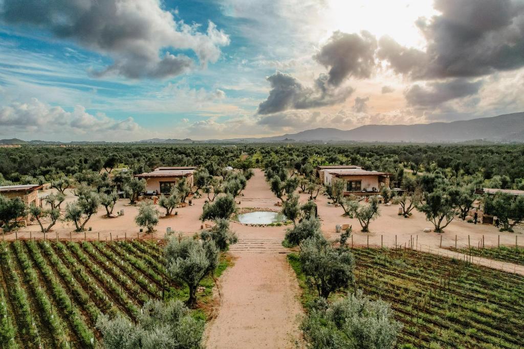 Hábimo - Valle de Guadalupe