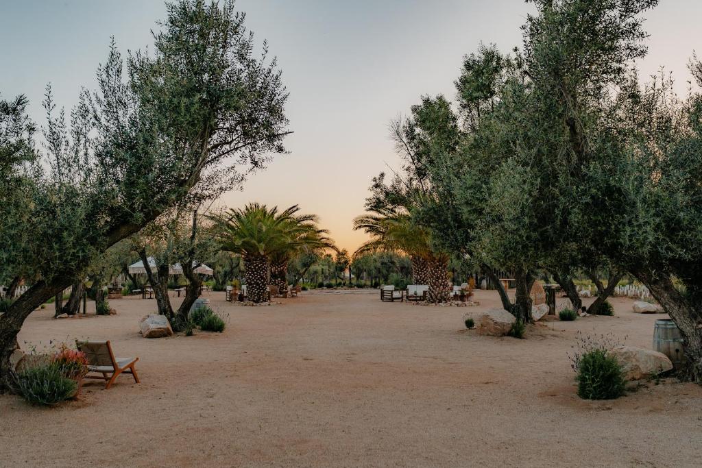 Hábimo - Valle de Guadalupe