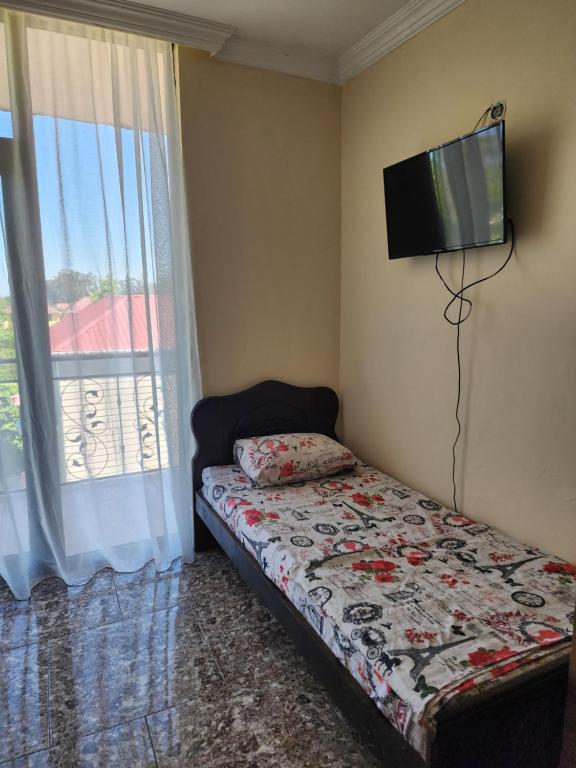 TV a/nebo společenská místnost v ubytování Vizitori Hotel