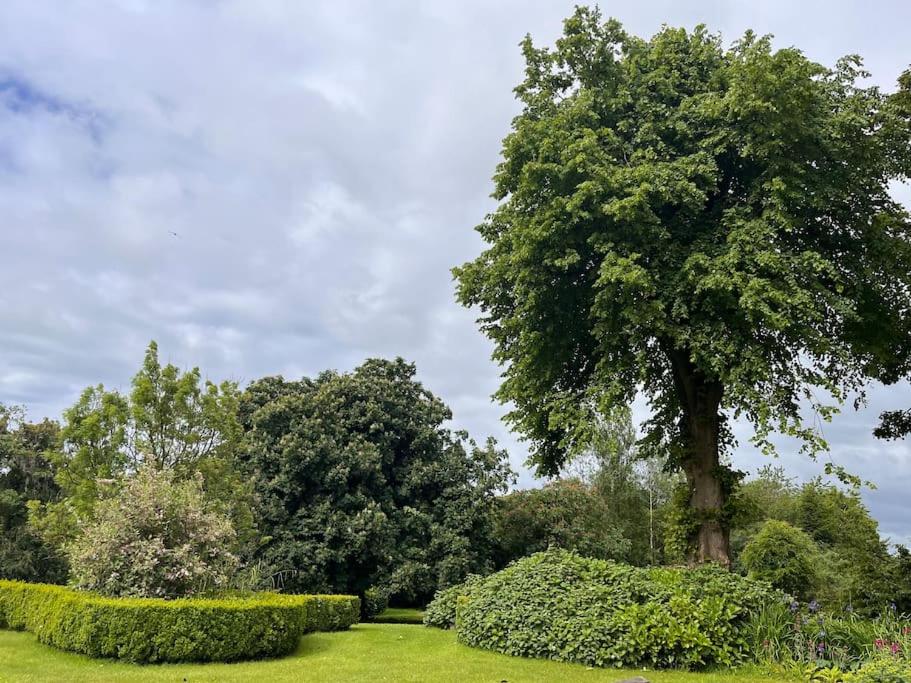 Zahrada ubytování Linden Lodge
