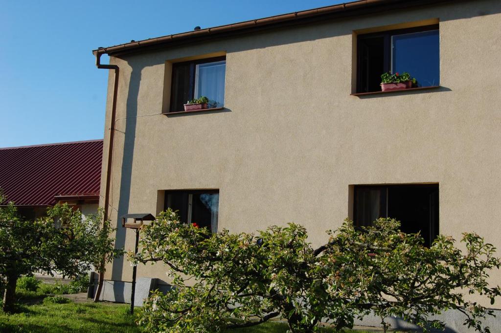 DobříkovApartmán U babičky的一座建筑,两扇窗户内有盆栽植物