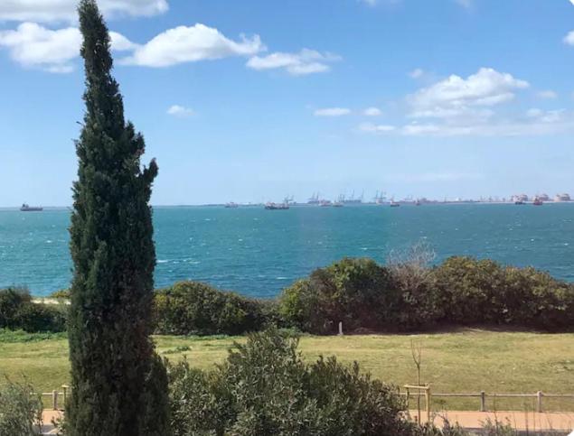 un grand arbre devant une grande masse d'eau dans l'établissement Charmant T4 face à la mer, à Port-de-Bouc