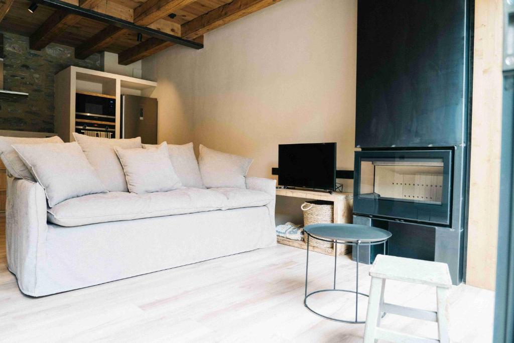 TV a/nebo společenská místnost v ubytování Cal Rus Apartament 3