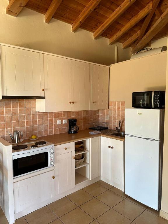 Kuchyňa alebo kuchynka v ubytovaní Amoni Holiday Homes