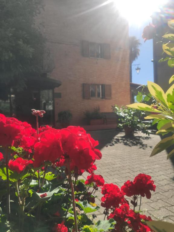 Zahrada ubytování Hotel Arcobaleno Siena