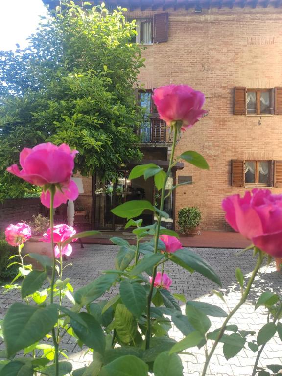 Zahrada ubytování Hotel Arcobaleno Siena