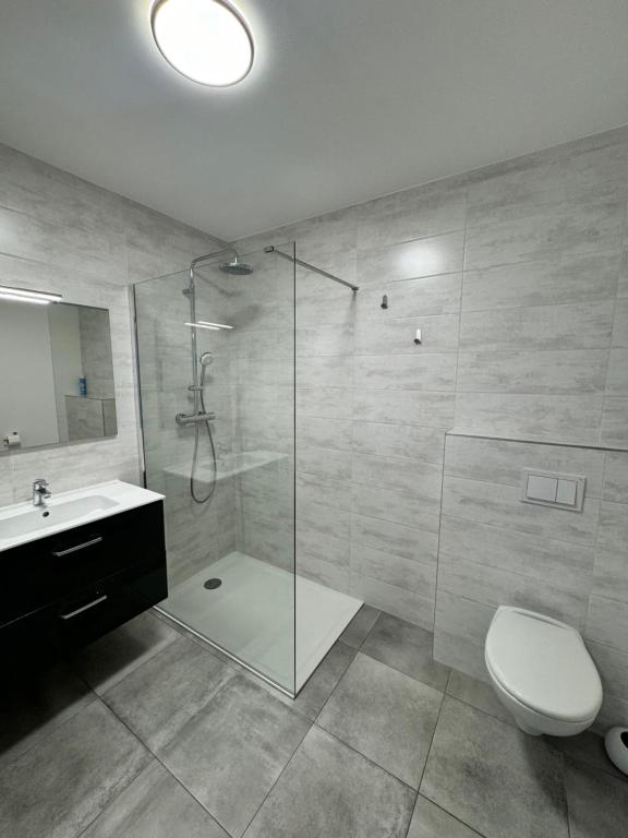 普罗普里亚诺T2 neuf vue mer proximite plage的带淋浴、马桶和水槽的浴室