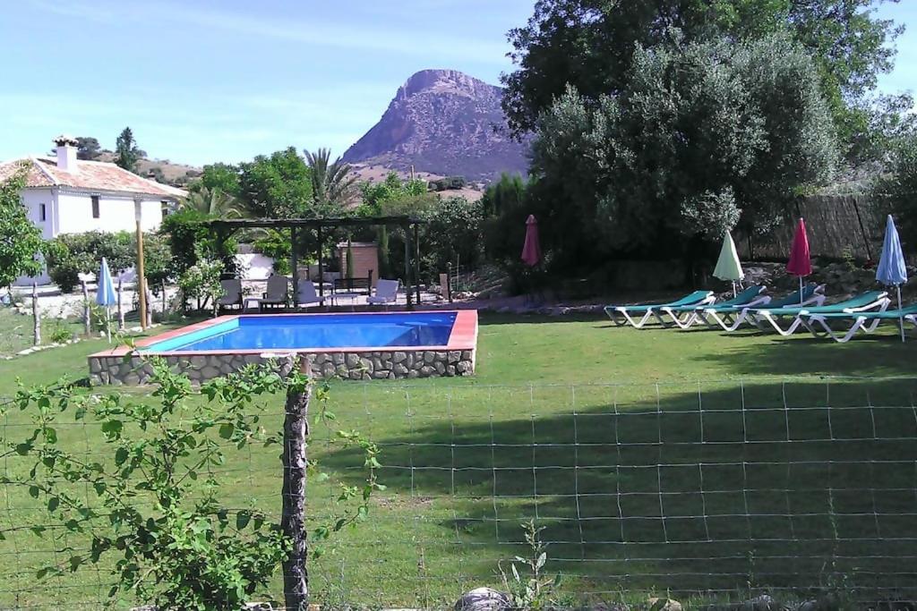 Bazén v ubytování Cortijo Grazalema piscina 5 Hbts con baño AC nebo v jeho okolí