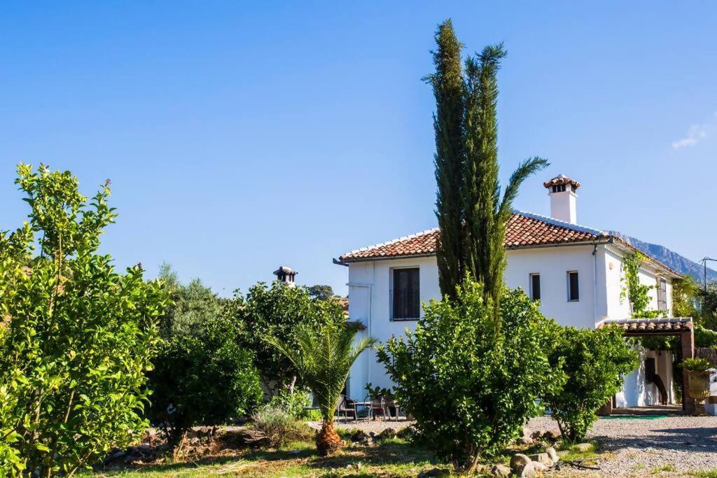 Budova, kde se the country house nachází