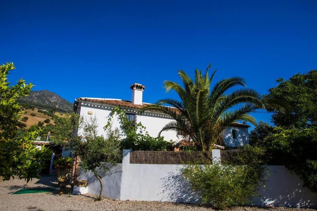 Zahrada ubytování Cortijo Grazalema piscina 5 Hbts con baño AC