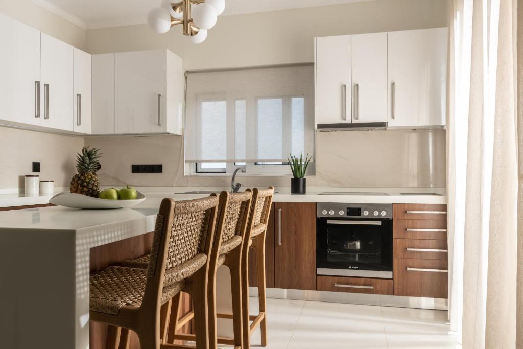 Kuchyň nebo kuchyňský kout v ubytování Villa Alexandros