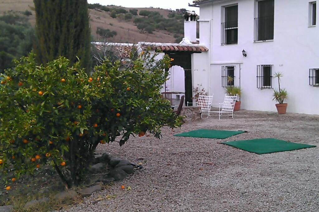 Zahrada ubytování Cortijo Grazalema piscina 5 Hbts con baño AC